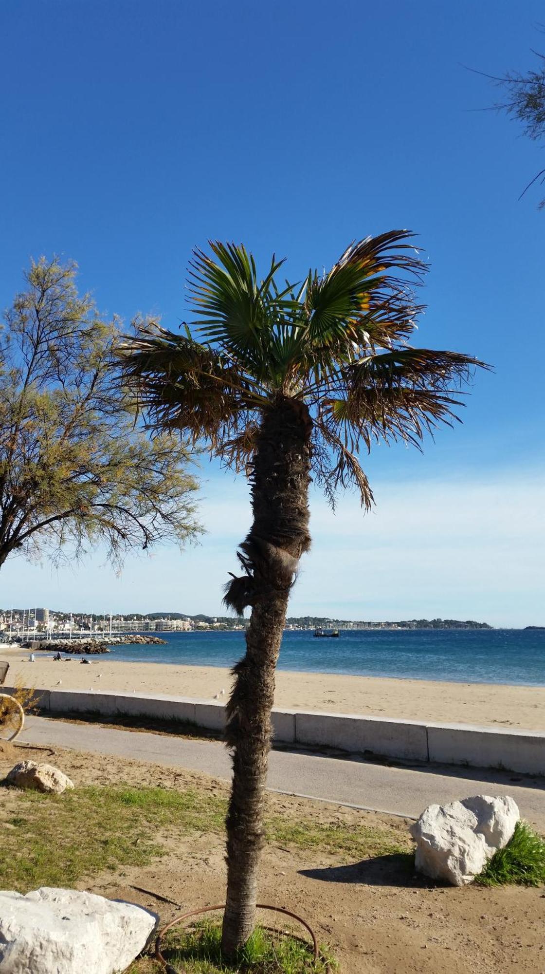 Sublime Vue Mer,Parking,Wifi Fréjus Dış mekan fotoğraf