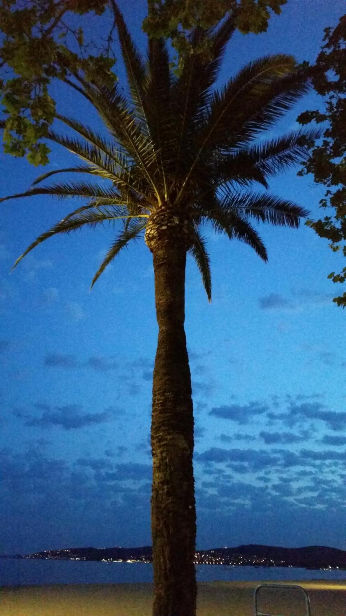 Sublime Vue Mer,Parking,Wifi Fréjus Dış mekan fotoğraf